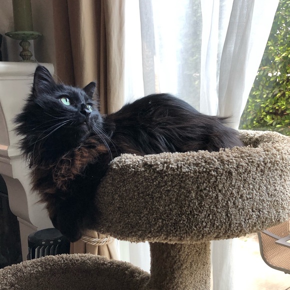 Welcome to Audshop🌟Poshmark Ambassador 🌟 - Picture 7 of 15